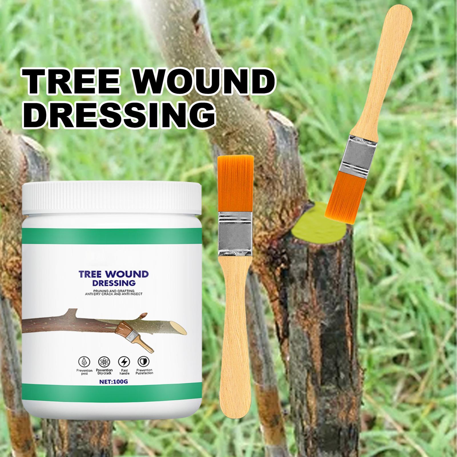 가지치기용 실러 100g 보호 페이스트(브러시 포함)  - Paint Brush 리뷰 및 가격